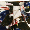 Eagle Stars And Stripes Cotton Denim Pants