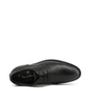 Duca di Morrone - BART_BLACK