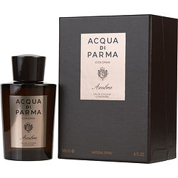 Acqua Di Parma By Acqua Di Parma Ambra Eau De Cologne Concentree Spray 6 Oz