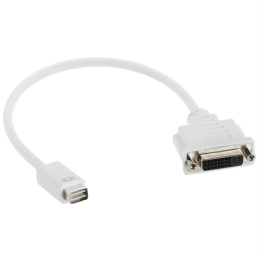 Cmple - Mini Dvi To Dvi Converter, Mini-dvi Male To Dvi Female Video Cable Adapter (white) - 6 Inches