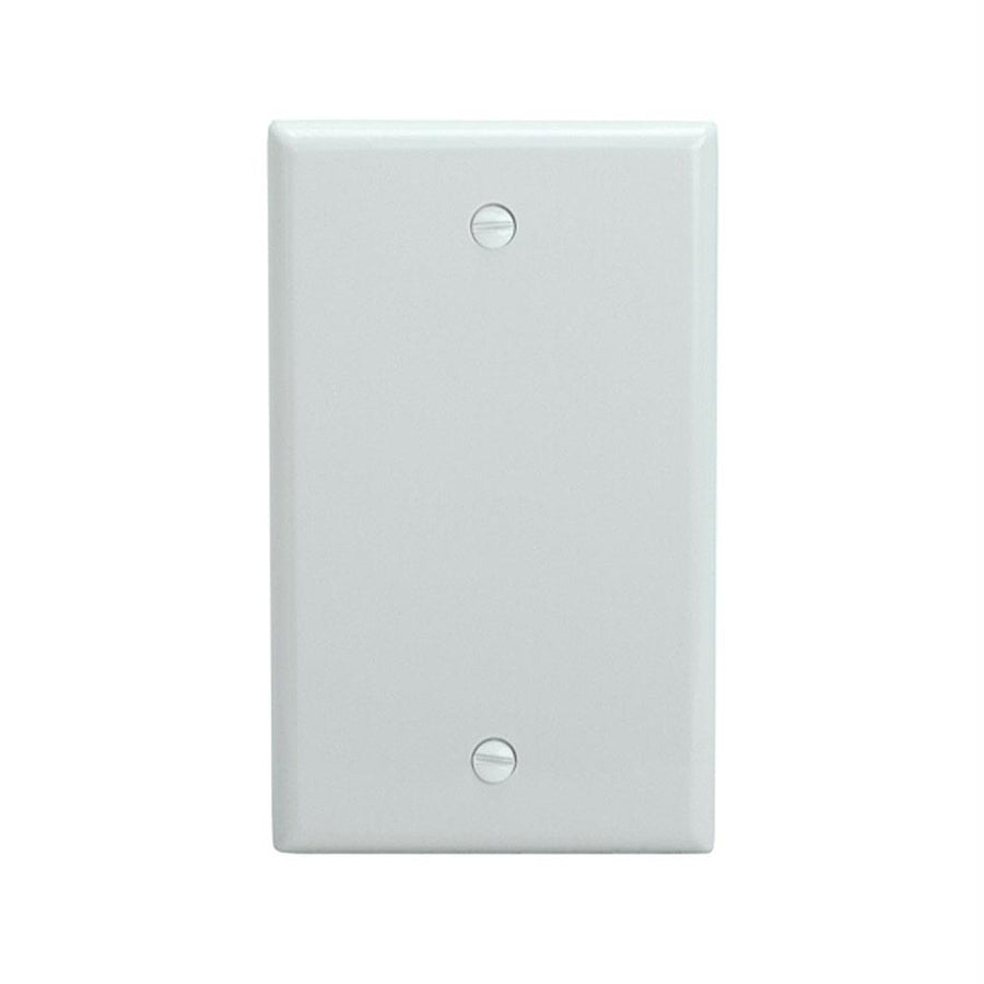 Blank 1 Gang Thermoplastic Panel Wall Plate (gfci), White