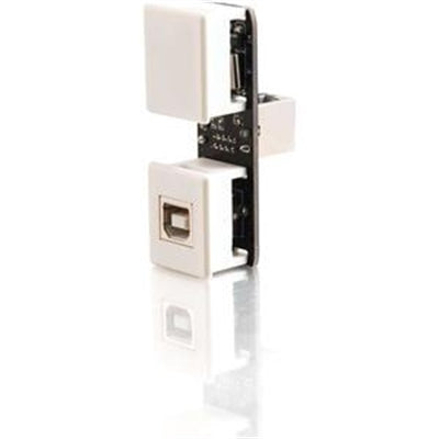 Usb 1.1 Keystone Extender