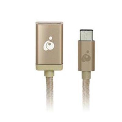 USB C to USB A Adapter Gld