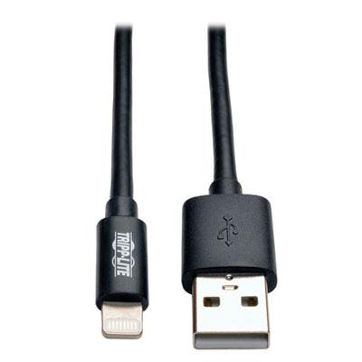 Lightning to USB 10' Black