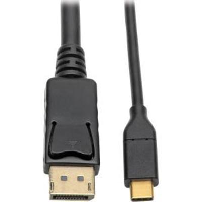 USB C to DP Adapter Cable 10ft