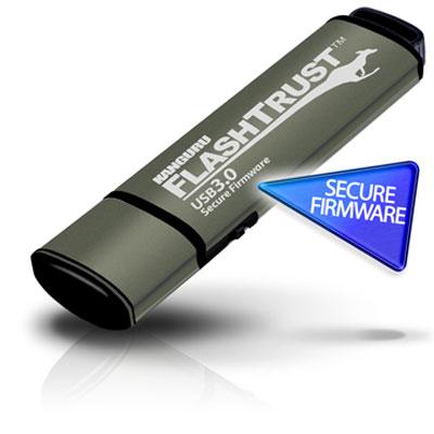 8GB Flash Trust