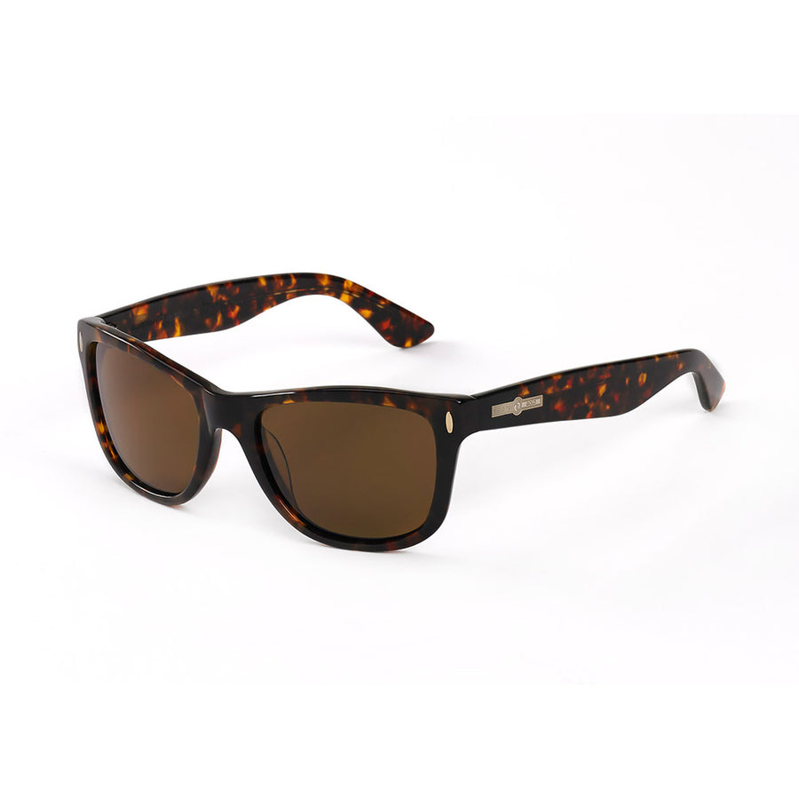 Hang Ten Gold The Wavefarer-brown Demi/brown Lens