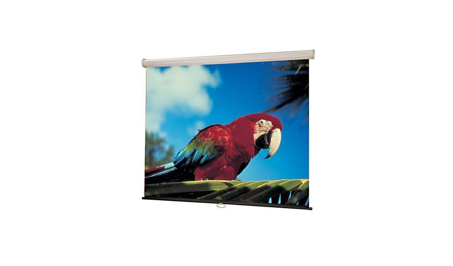 92 Draper 207100 Luma 45 X 80 Manual Projection Screen