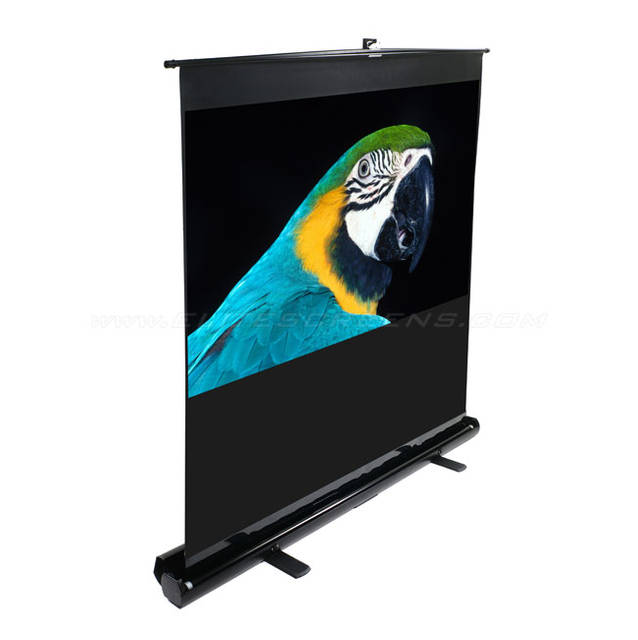 Elite Screens ezCinema Series F100NWH 100