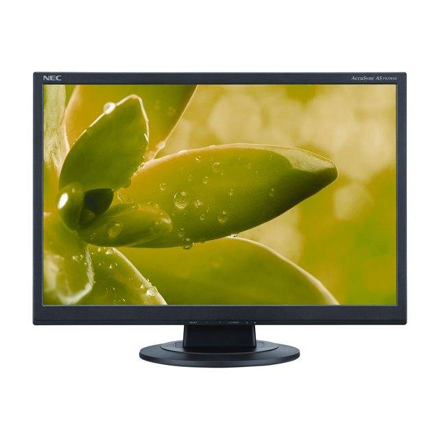 NEC AccuSync AS192WM-BK 19 inch 1,000:1 5ms VGA/DVI LED LCD Monitor, w/ Speakers (Black)