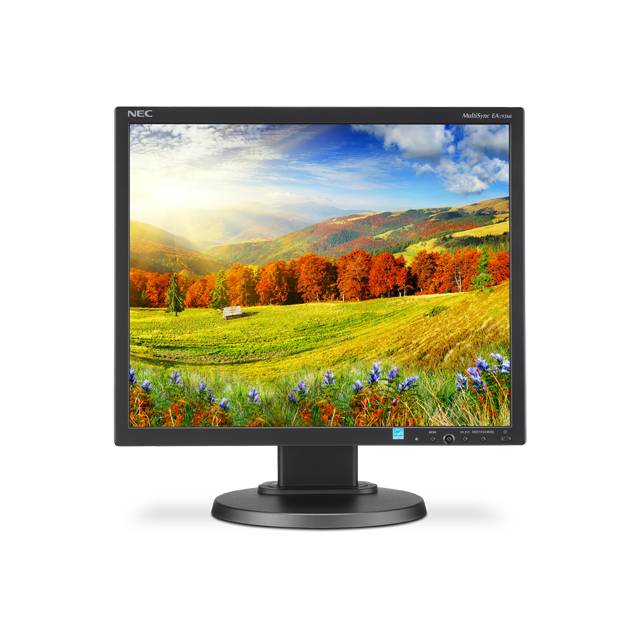 NEC MultiSync EA193MI-BK 19 inch 25,000:1 6ms VGA/DVI/DisplayPort LED LCD Monitor, w/ Speakers (Black)