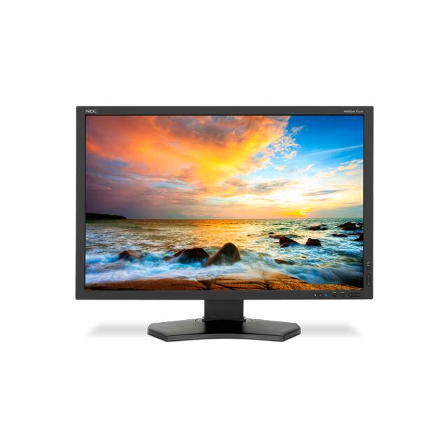 NEC P242W-BK 24 inch Widescreen 1,000:1 8ms VGA/DVI/HDMI/DisplayPort/USB LED LCD Monitor (Black)