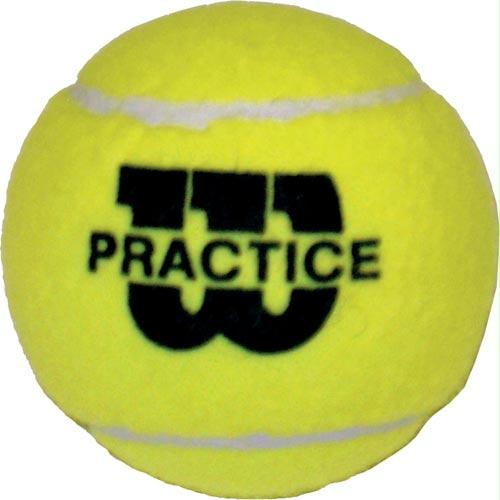 Wilson Practice Tennis Balls