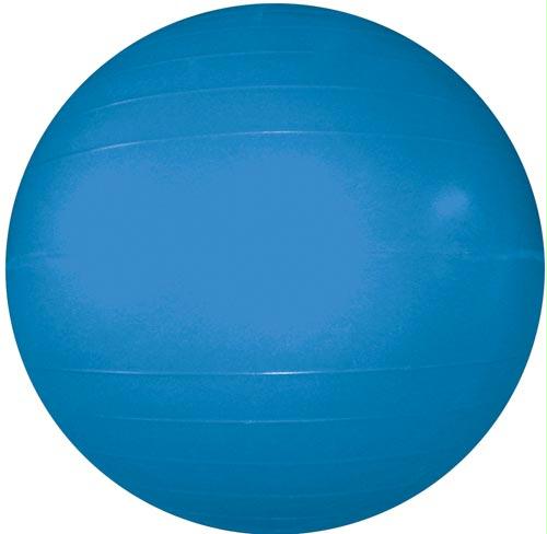 Therapy/Exercise Ball - 55cm/22