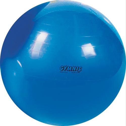 Physio Gymnic Exercise Ball - 95cm/38