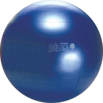 Gymnic Plus Exercise Ball - 65cm/26