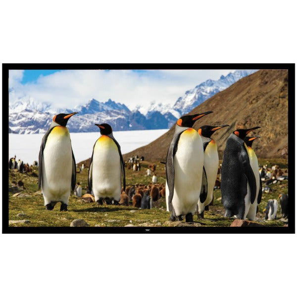 Fixed Wall-Mount Projector Screen (110-Inch)