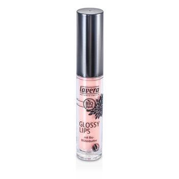 Glossy Lips - # 08 Rosy Sorbet - 6.5ml/0.2oz