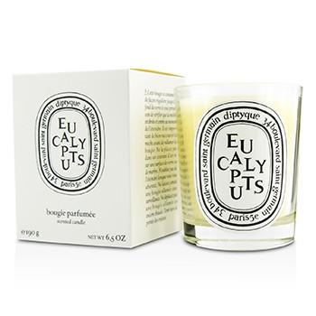 Scented Candle - Eucalyptus - 190g/6.5oz