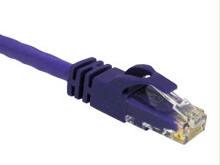 C2g 5ft Cat6 Snagless Unshielded (utp) Network Patch Cable - Purple