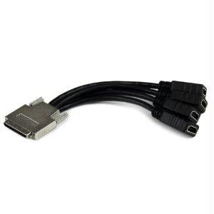 Startech Mirror Or Expand Your Vhdci Video Card Across Four Hdmi Displays - Vhdci Cable -