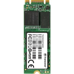 Transcend Information 256gb 2260 M.2 Sata Iii Mlc Solid State