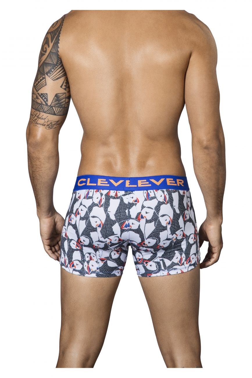 Artic Boxer Briefs