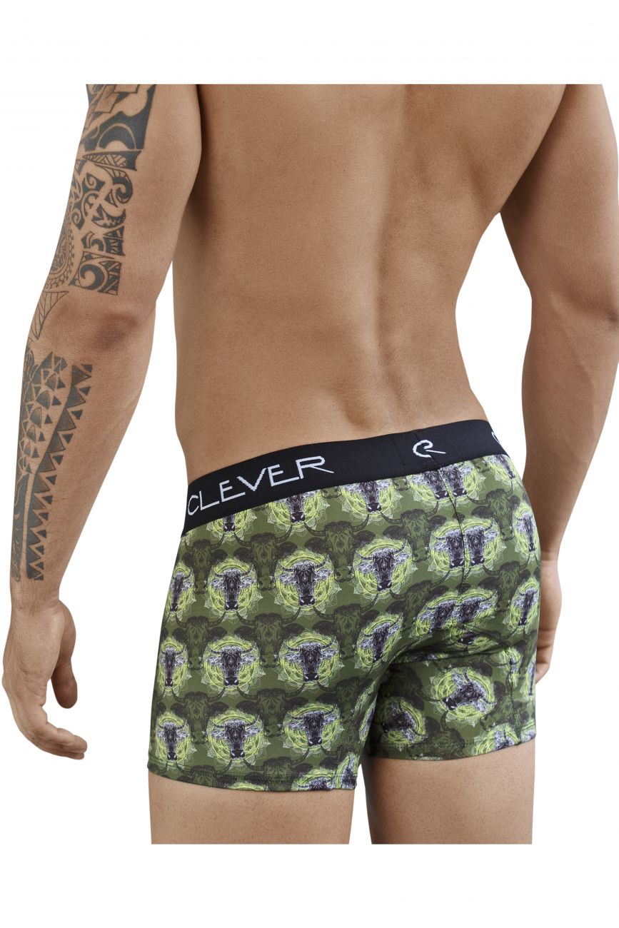 Artemisia Boxer Briefs