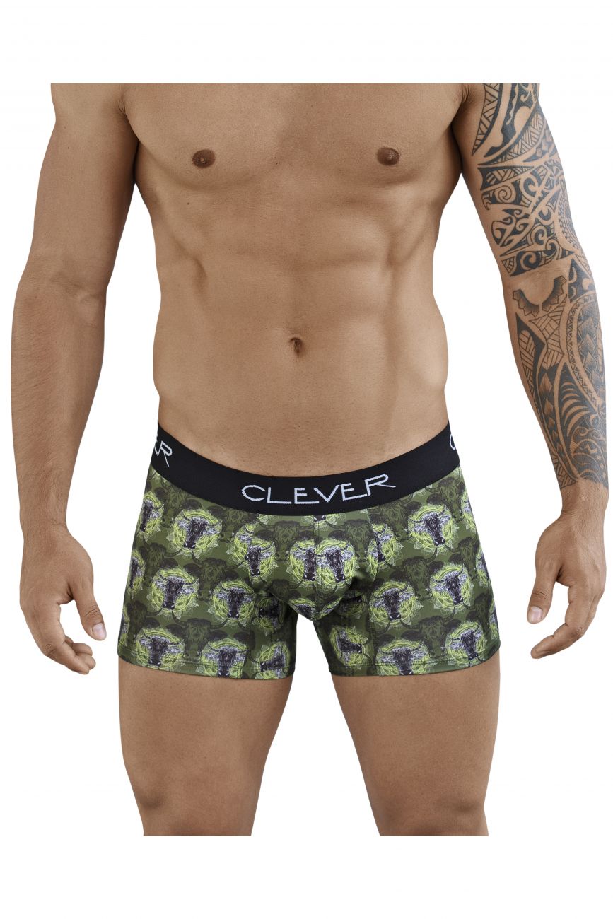 Artemisia Boxer Briefs