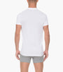 Pima Cotton V-Neck T-Shirt