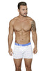 Boxer Briefs Microfiber Stripes