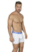 Boxer Briefs Microfiber Stripes