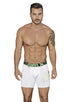 Boxer Briefs Printed Microfiber