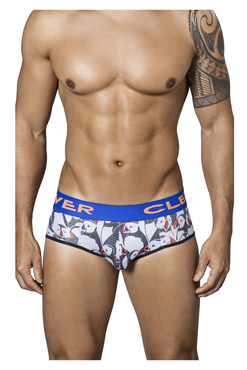 Artic Piping Briefs