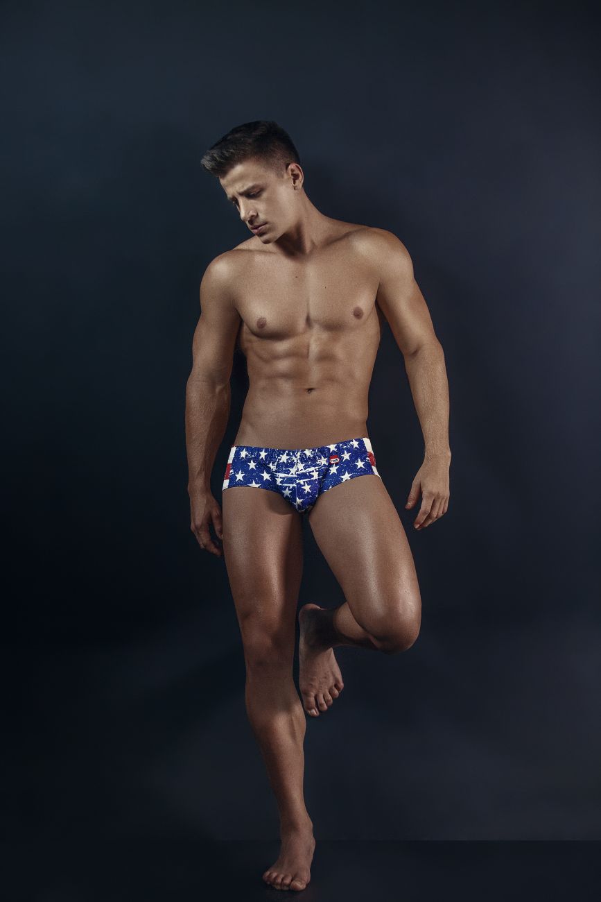 PIK 8719 USA Anatomic Briefs