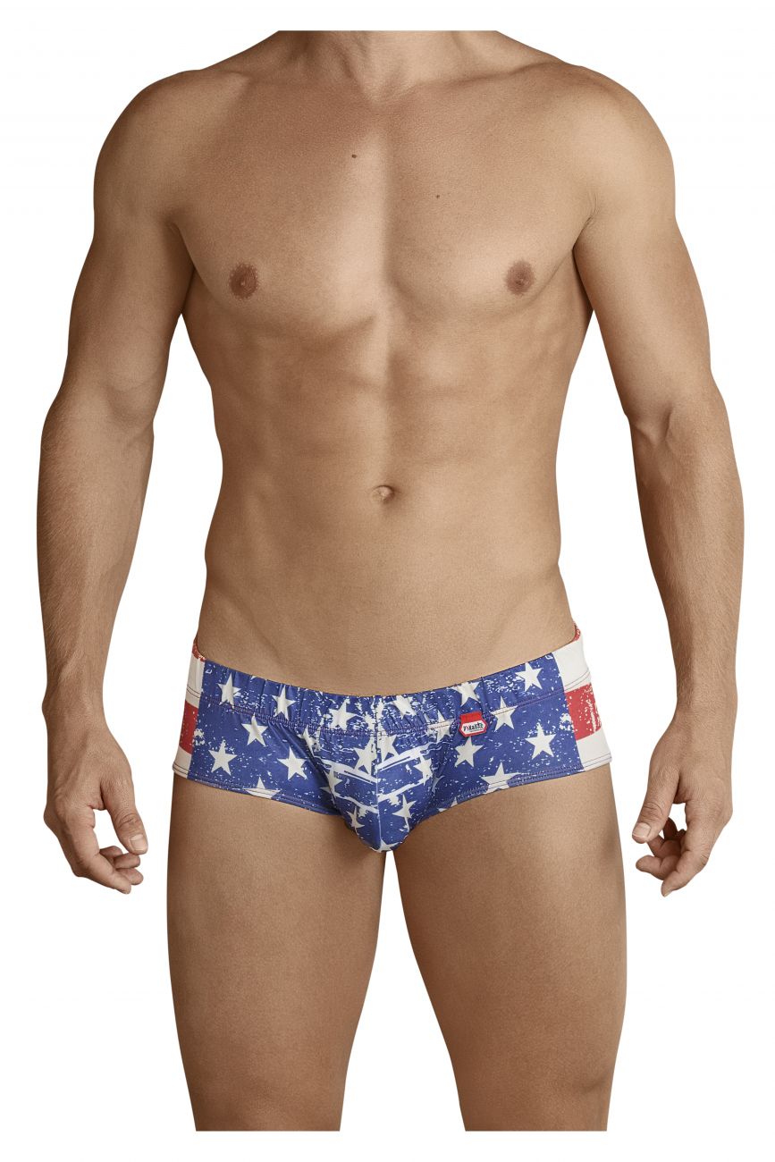 PIK 8719 USA Anatomic Briefs