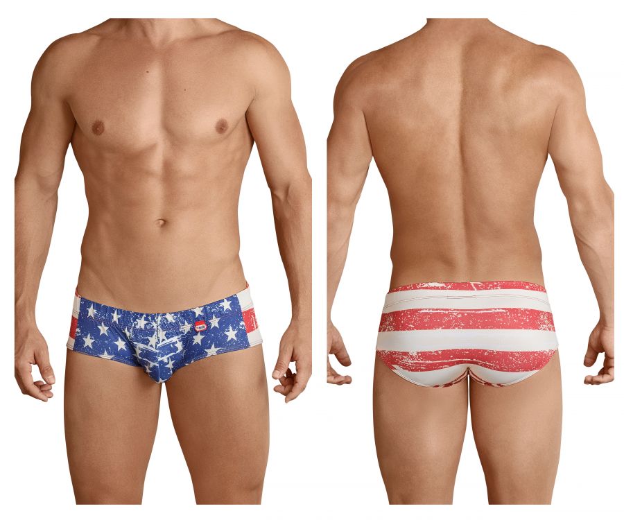 PIK 8719 USA Anatomic Briefs