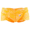 Lace Boxer Briefs