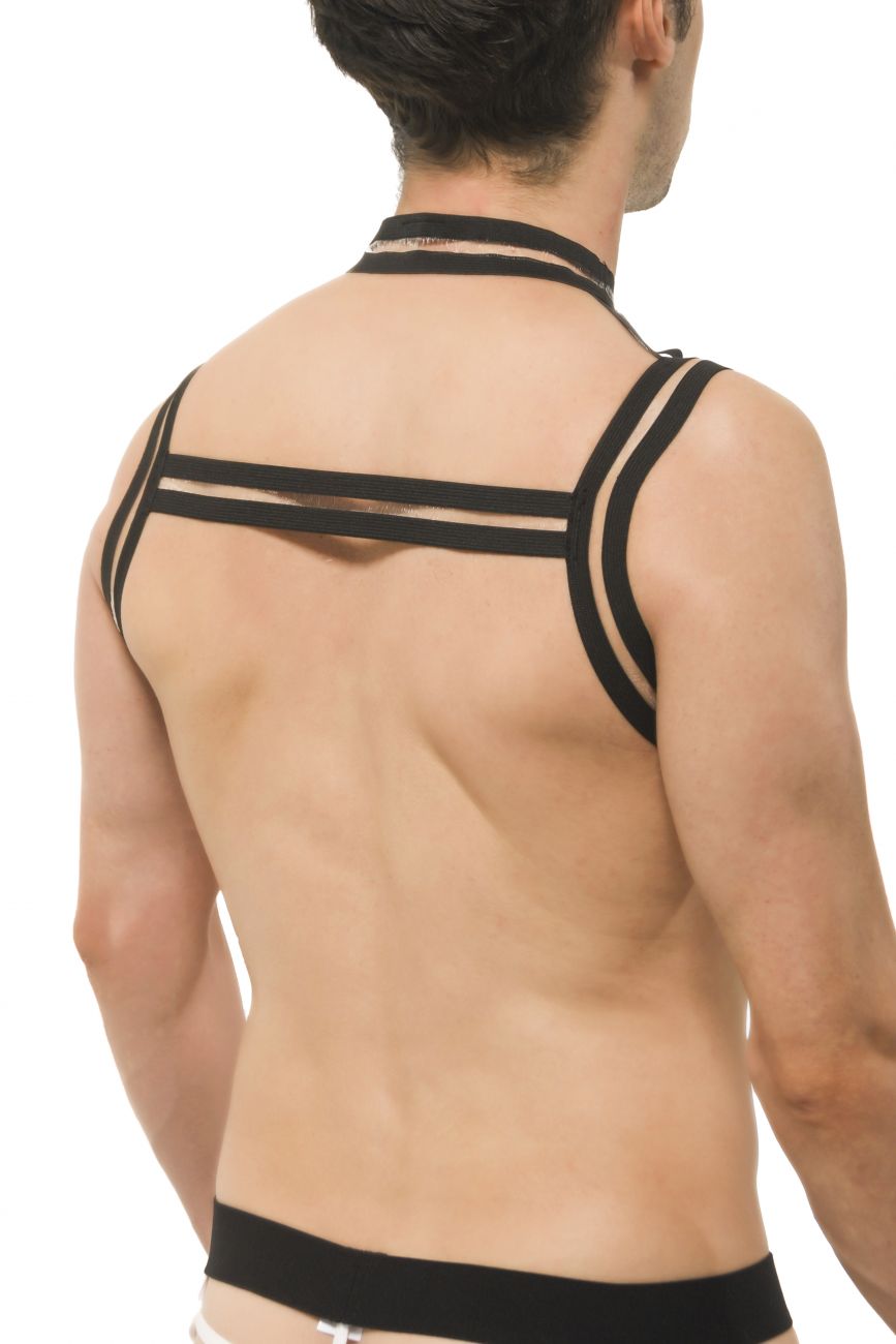 Kisin Harness