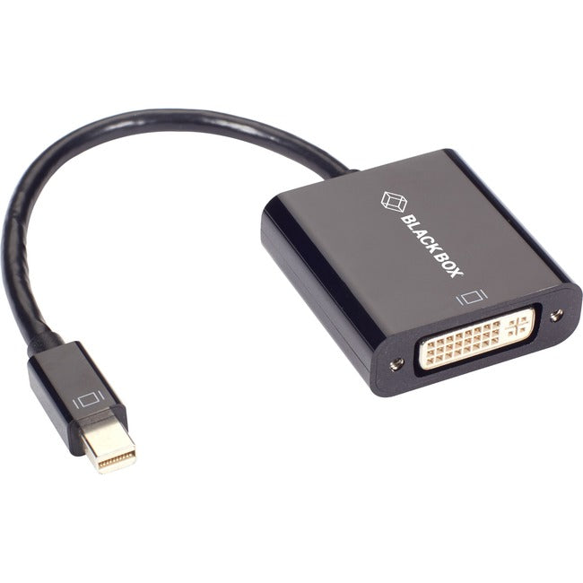 Black Box Mini Displayport/DVI-I Video Cable