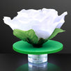 Fancy Floating White LED Rose