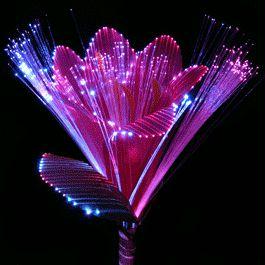 Fiber Optic Flowers