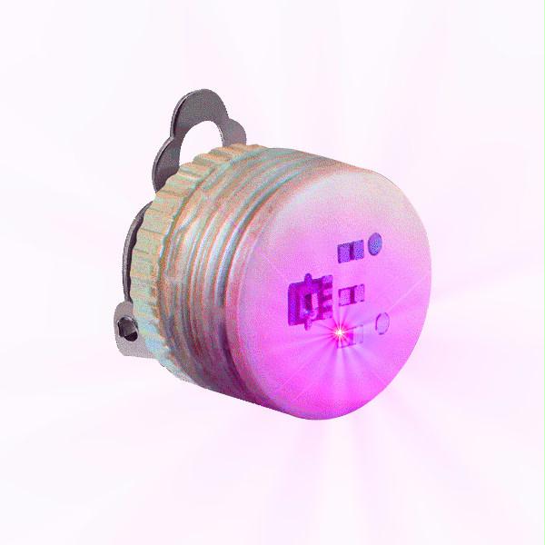 Pink Steady Clip Button Body Lights