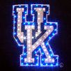 Kentucky Wildcats Flashing Fiber Optic Cap