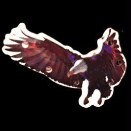 Flying Eagle Flashing Body Light Lapel Pins