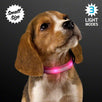 LED Pink Flashing Striped Dog Collar