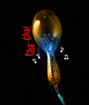 Clear Light Up Maraca Orange