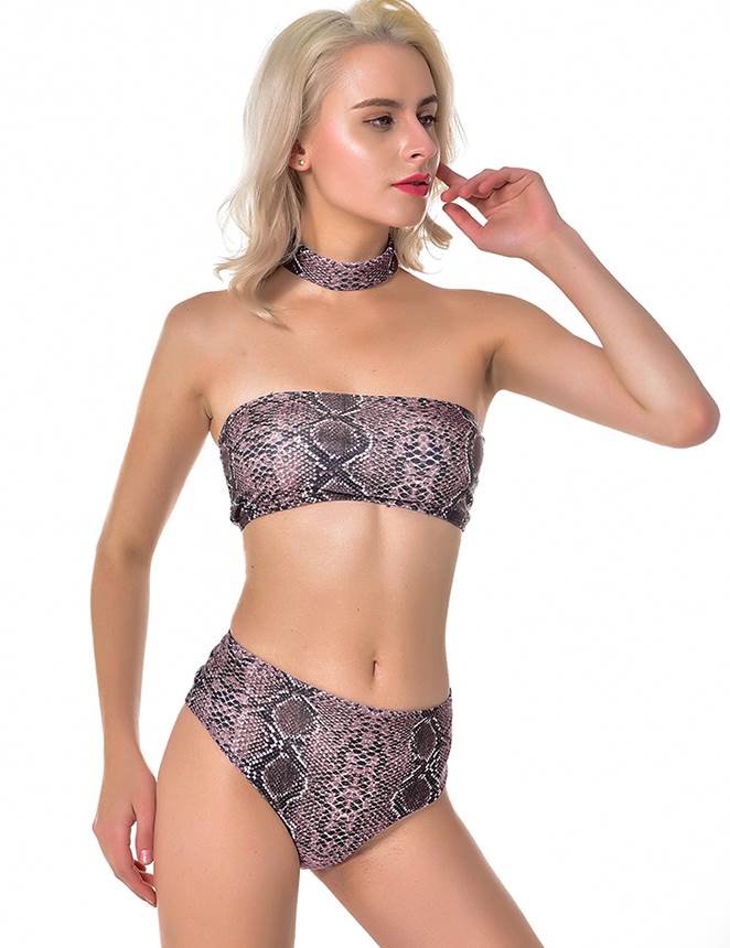 Snake Sexy Summer Women's Bikini Set