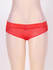 Sexy Holiday Peek A Boo Back Mesh Crotchless Valentines Panty