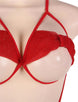 Red Lace Erotic Sexy Teddy